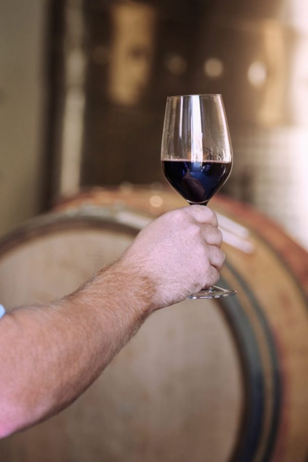 Cropped shot of a man holding a glass of wine in a wine cellar